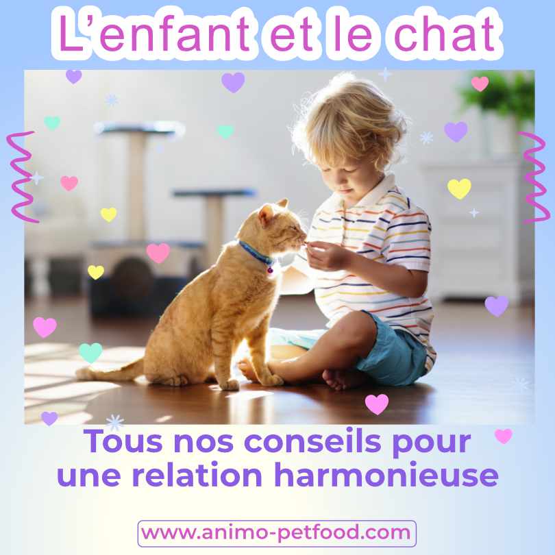 enfant chat_ relation enfant chat_Interactions entre les enfants et les chats _cohabitation entre les enfants et les chats 